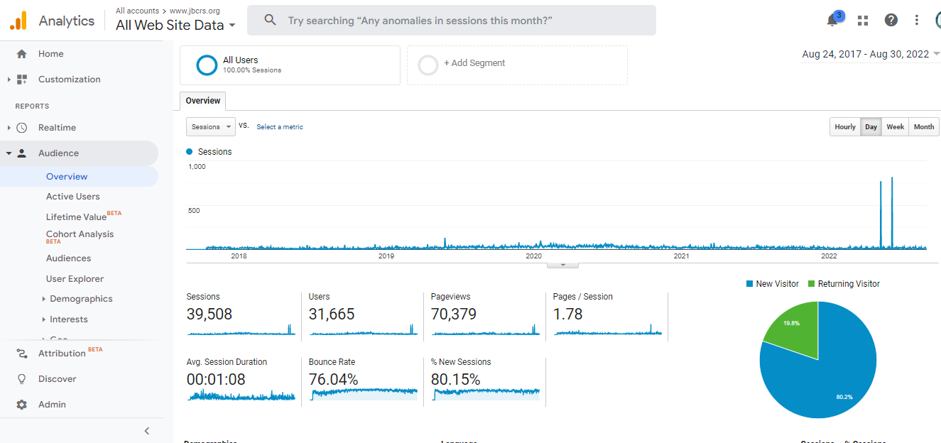 Visitor Analysis Report